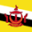 Flag for Brunei Darussalam