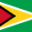 Flag for Guyana