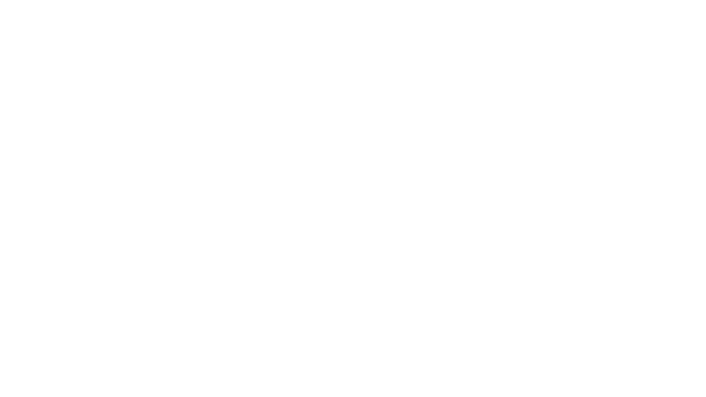 Steam