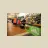 Pure Outdoor Gift Card
