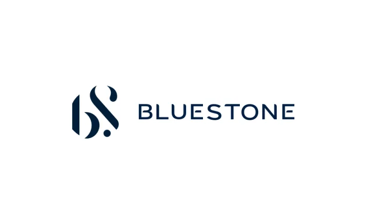 BlueStone Gold Jewellery India
