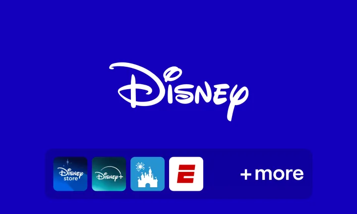 Disney USD International