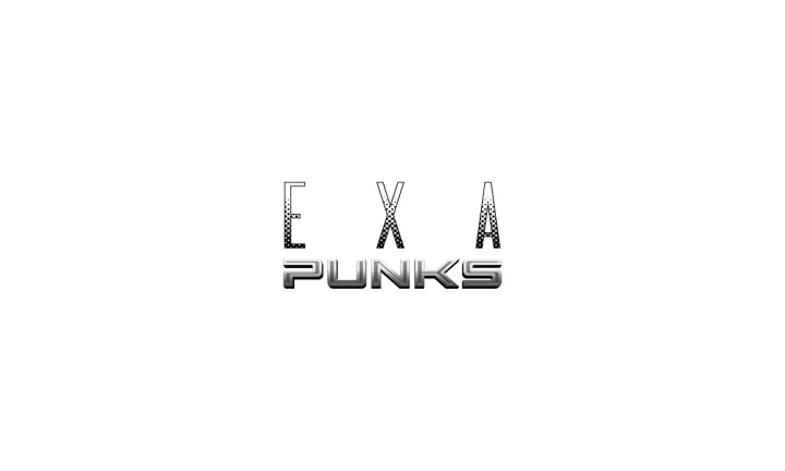 EXAPUNKS USA