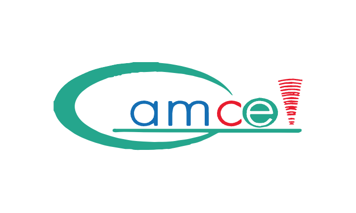Gamcel Gambia Data