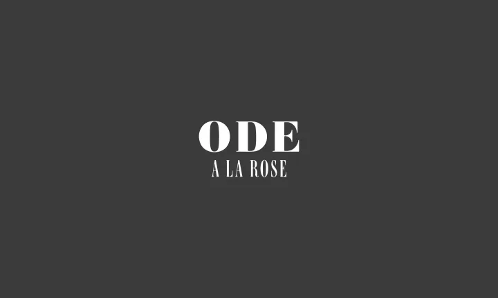 O de Rose UAE