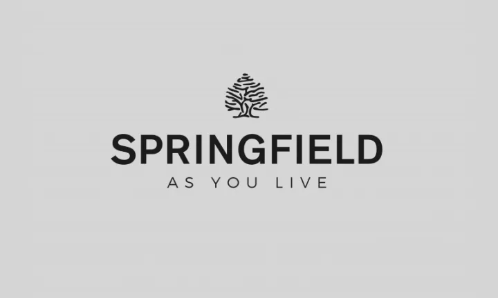 SPRINGFIELD Ukraine
