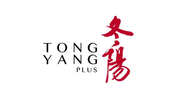 Tong Yang Plus