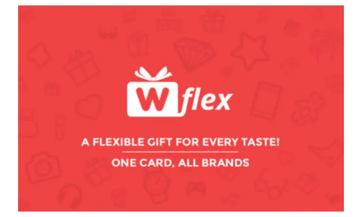 WOGIflex Universal Gift Singapore